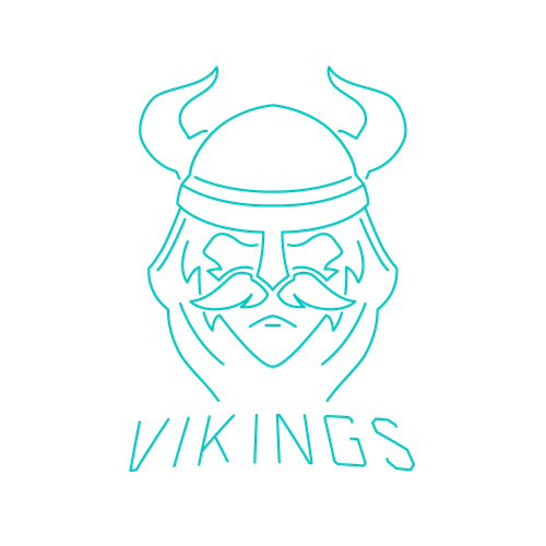 Flat-Web-York-Vikings-Tribe-Logo-RGB-v2.1.png (1)