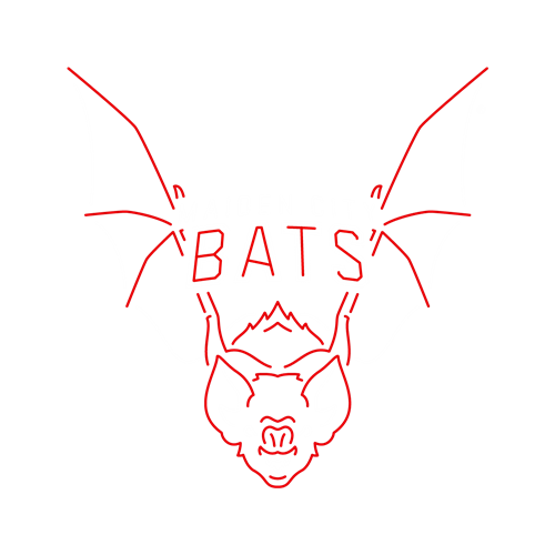 Web-Flat-Maiden-City-Bats-Emblem-RGB-v11.1.png