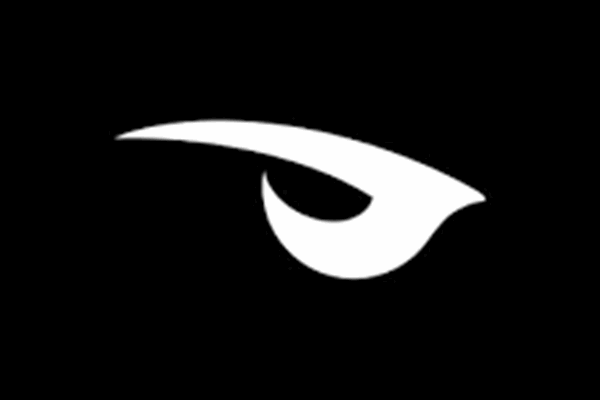Raven.gg logo.png (1)